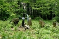 cmentarz wojenny pod Chryszczatą