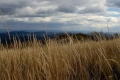 Bieszczady Ukrainskie