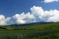 panorama Gór Czerchowskich