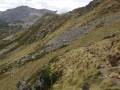 pireneje-80