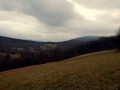 pstrążne-piwane (9)