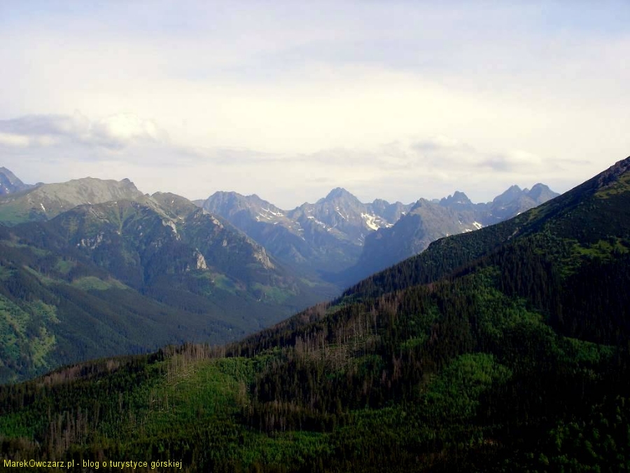 panorama z Gęsiej Szyi na Tatry Wysokie