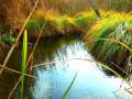 bieszczady-18