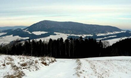 Zima w Górach Grybowskich: na Chełmie i Jaworzu, czyli czas na górskie przemyślenia