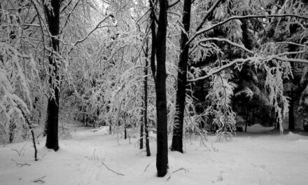 Zimowy spacer w rakietach śnieżnych po Beskidzie Gorlickim