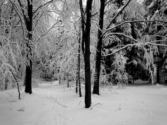 Zimowy spacer w rakietach śnieżnych po Beskidzie Gorlickim