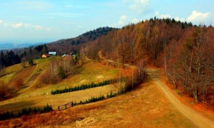 Spacer pasmem Brzanki na Liwocz, czyli odkrywanie Pogórza Ciężkowickiego