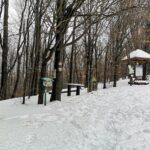 Zimowy spacer z Bartnego pasmem Magury Wątkowskiej