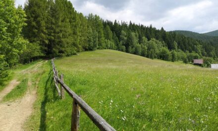Na Vysokiej i wieży Miloňová w czeskich Vsetínskich Vrchach