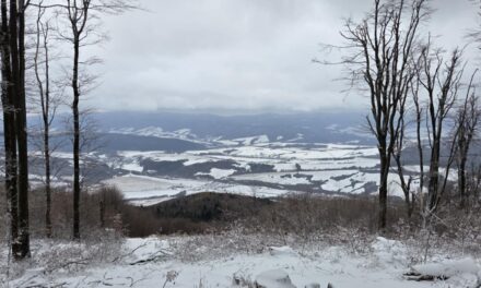 Zimowe wejście z Wysowej na Busov, Palenicę oraz Hrb i Jawor