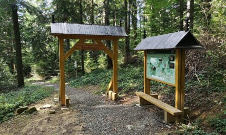 Spacer z Nowicy do Leszczyn przez Dolinę Przysłupianki