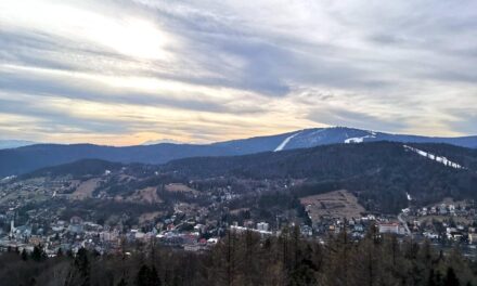 Spacer wokół Krynicy z wejściem na wieżę na Górze Parkowej