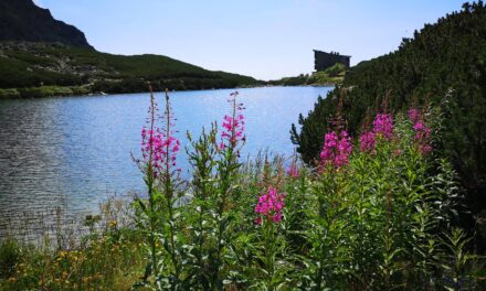 Tatry- nasze najpiękniejsze góry opiewane przez poetów